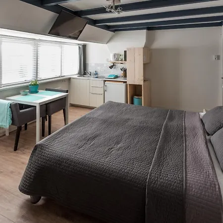 Summertime Bergen aan Zee