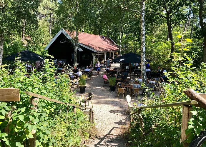 Summertime Берген ан Зее