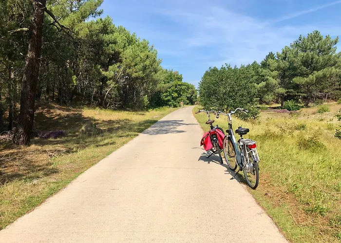 Summertime Апартаменты